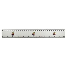 'Professor Toad' 30cm (12 Inch) White Plastic Ruler (RL00089792)