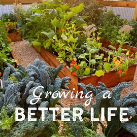 Emerald Giant Sweet Bell Pepper - 250 mg (~30 Seeds) - Non-GMO, Heirloom, Open-Pollinated Vegetable for Gardening - Easy to Grow, Perfect for Farm and Home Gardening - Best Supplier