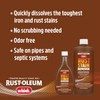 Rust-Oleum Whink Rust Stain Remover | Heavy-Duty Iron Stain Remover