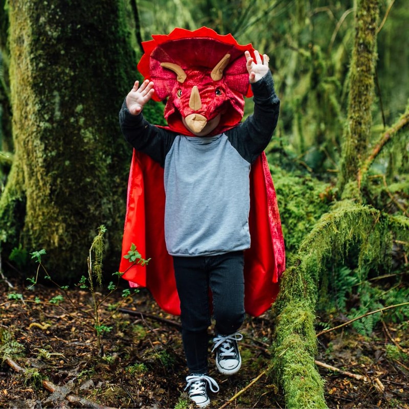 Dinosaur Hooded Cape