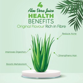 GARDEN OF NUTRITION Herbal and Ayurvedic Aloe Vera Juice | Original Flavour | Rich in Fiber | Natural Juice for Skin Care | No Added Sugar (500ml) PACK OF 1