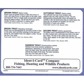 Ident-I-Cards Stream Trout Freshwater Fish Identification Card