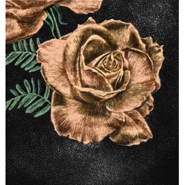 Lithograph print roses a pen and ink on scratchboard drawing that is hand tinted in peach