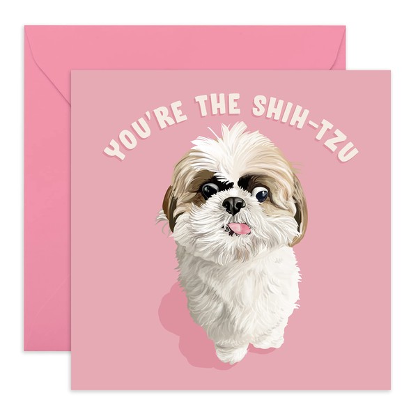 CENTRAL 23 - Cute Animal Birthday Card - “You’re The Shih-Tzu”- For Men & Women - Mom Dad Husband Wife Brother Sister Cute Cards - Comes with Fun Stickers