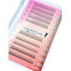 New DiamondLash One-Hong Lash Series Partial False Eyelashes (no.901 (8mm