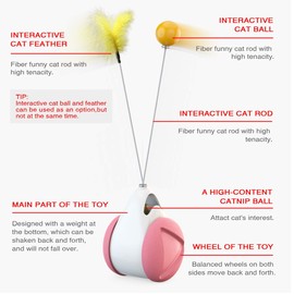 HESHPAWS Interactive Cat Toys Catnip Ball Toy,Cat Toys Chaser for Indoor Cats,Cat Balance Swing Car Toy,360 Degree Self Rotating Ball Car Toy (Pink)