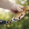 Lija para amoladora de uñas de perros LXUEJIE 42 piezas