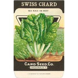 Swiss Chard Seed Packet - Vintage Image