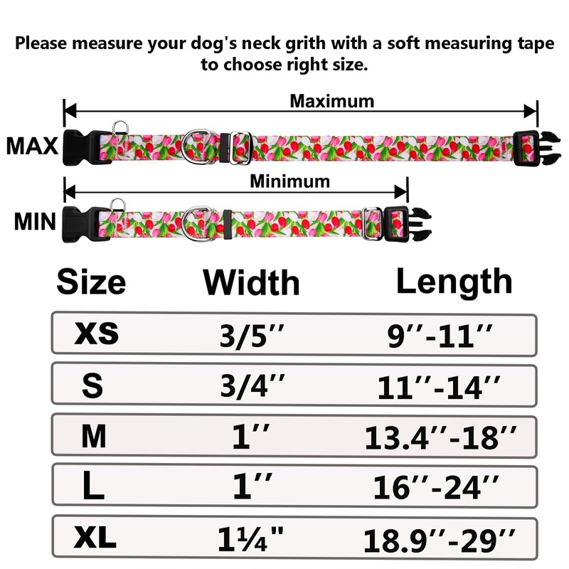 Fidohug Martingale Collar for Dogs with Buckle Floral No Pull