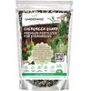 GARDENWISE Evergreen Fertilizer – All-Purpose Granular Plant Food for Outdoor
