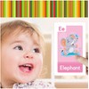 Early Learning Flash Cards Number Flash Cards Alphabet Flash Card