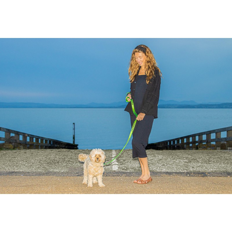 Friendly Dog Lead - Green, Durable & Padded Handle -
