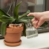 Kikkerland Handheld Glass Mister Mist Spray Bottle, Watering Can, Indoor/Outdoor