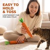 2 Pcs Orange Natural Interactive Sisal Carrot Cat Toys,Cat Dental