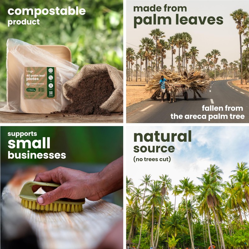 HAAGO Palm Leaf Plates Biodegradable Disposable Plates - Environmentally Friendly