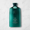 Aveda Essence Damage Remedy Daily Hair Repair 100ml / 아베다