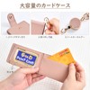 LanFly Commuter Passenger ID Card Holder with Reel Pass Case,