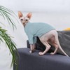Hjyokuso Cat Clothes, Sphynx Cat Clothing, Sphynx Cat Jumper, Cat