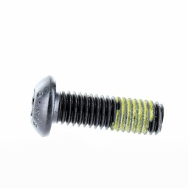 Can-Am New OEM Torx Screw M8 X 25, 250000757