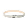 Pin Apparel 621-5182107 Men's Belt (Slide Buckle) / Golf, 020_grey