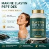 Elastin peptide tightens Skin Elasticity