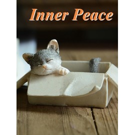 Gemmia Miniature Fairy Garden Cat Figurine- Box Stray Cat