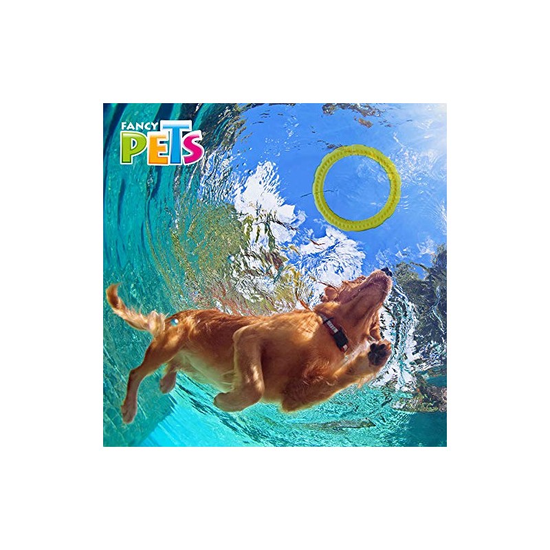 Fancy Pets Juguete Chew Aro Masticable para Perro Tamaño Grande