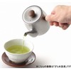 Miyazaki Seisakusho CHA-3 Teapot with Tea Strainer, No Direct Fire,