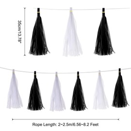 MECCANIXITY 20Pcs Black,White Tassel Garland Banner with Rope Tissue Paper Tassels Party DIY Kits for Anniversary Wedding Birthday Party