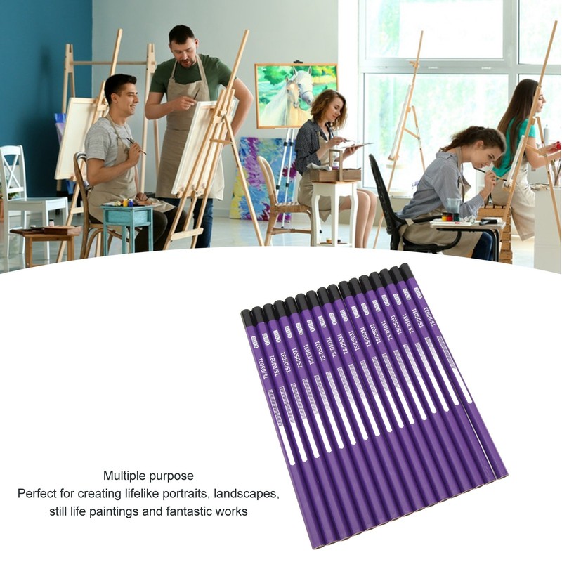 16pcs Charcoal Pencil Drawing Sketching Shading Pencils for Beginners Professional