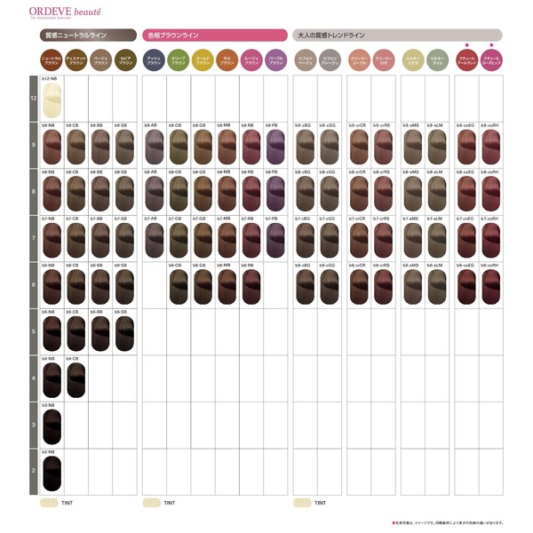 ORDEVE Beauty Hair Color First Agent b5-SB 2.8 oz (80