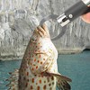 Stainless Steel Fish Control Lip Gripper Plier Lure Controller Clamp