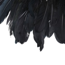 YINETTECH 1 x 2 m Goose Feather Feather Trim Black Carnival Party Clothing