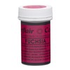 Sugarflair Paste Colours - Spectral Fuchsia 25g