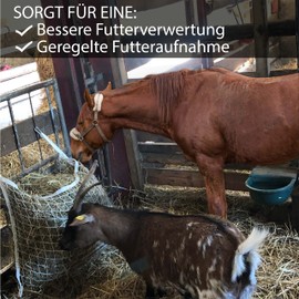 Hay Net for Horses Square in White Hay Net 3 x 3 cm for Extended Feeding Time, Large Hay Net 120 cm x 90 cm, 9 kg