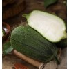 Fresh Apple Luffa Seeds - Muop Tao, Rare Heirloom Non-GMO