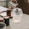 Kichvoe Glass Pitcher: Food Strainer Soy Milk Filter Teapot With