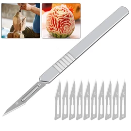 AAGWW Industrial Female Blade Carbon Steel Surgical Mother Blade Carving, Hand Carved, Dissection, Etc. (No. 11 Surgical Pattern + 11 Blade x 10)