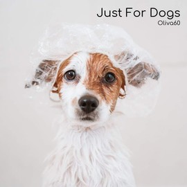 Oliva60 Dog Shampoo Bar- Extra Moisturizing, Sulfate & Paraben Free, Lavender & Cedar Scent, For Sensitive Dogs, Made with Olive, Castor, Macadamia Oil & Aloe Extract