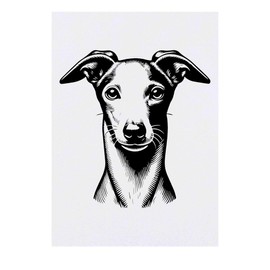 'Italian Greyhound' Temporary Tattoo - Water Resistant, Skin-Safe, Non-Toxic Transfer (TO00075963)