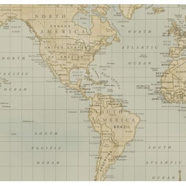 Dreams and Memories Custom World Push Pin Travel Map