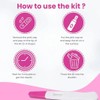 Pregnancy Test Kit, 2 Pack, Over 99% Accurate, Quick Results