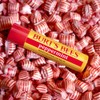 Burt's Bees Winter Wonder Lip Balm Gift Set, Apple Crisp,