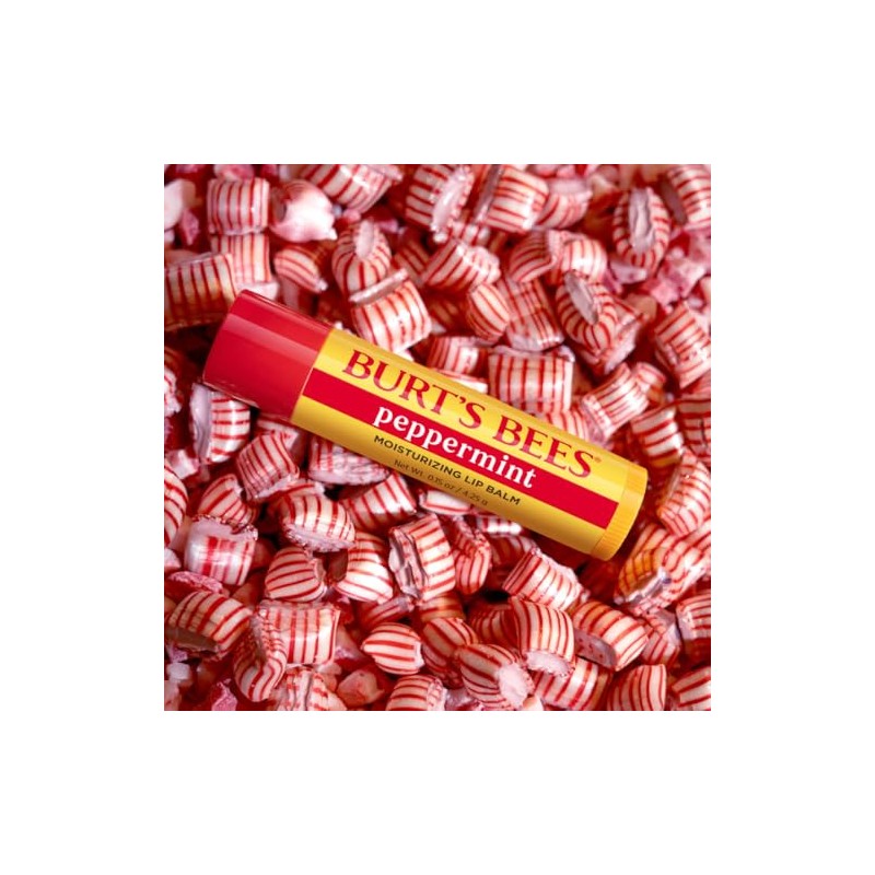 Burt's Bees Winter Wonder Lip Balm Gift Set, Apple Crisp,