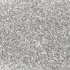 Stargazer Biodegradable Glitter Shaker - Silver. Festival Friendly Biodegradable Cosmetic