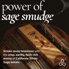 Organic White Sage Smudge Sticks - with Real Leaves 24+
