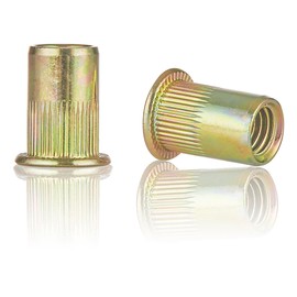 Rivet Nut Installation Tool Set Flat Head Rivnut Threaded Insert Nut Kit SAE & Metric for Metal Heavy Duty Zinc Plated Nutsert (10-24(Rivet Nut-100pcs))