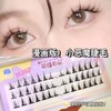 Segmented Eyelashes: Natural Fairy Hair Imitation, Hard Stem, Pre-cut COS Imp c08 MJSP-11 2ea