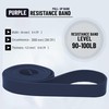 Everlast Latex Resistance Band 208X6.4X0.45 Cm Pur