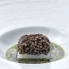 Caviar Star - Premium Black Caviar Sturgeon from Sustainable Farms